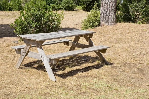 Houten Lege Picknicktafel Een Openbaar Park Met Bomen Zomer — Stockfoto