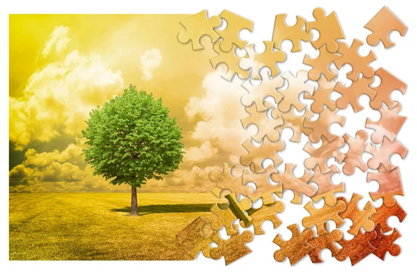 Samotne Drzewo Zielonej Łące Koncepcja Ochrony Środowiska Kształcie Puzzle Układanki — Zdjęcie stockowe