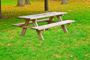 Halka açık bir parkta, yerde kuru yapraklarla ahşap piknik masası..