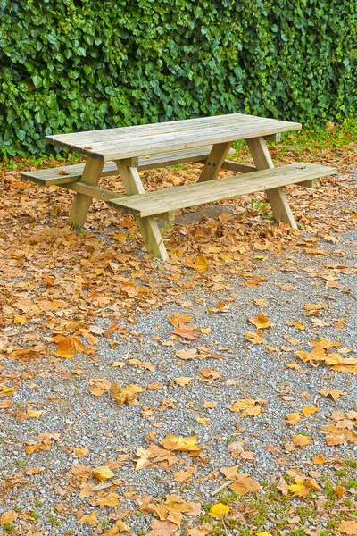 公园里的木制野餐桌 地上有干枯的叶子 — 图库照片