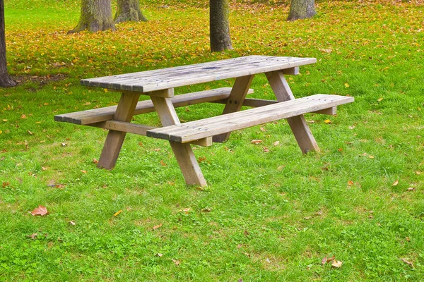 地面に乾燥した葉を持つ公園内の木製のピクニックテーブル — ストック写真