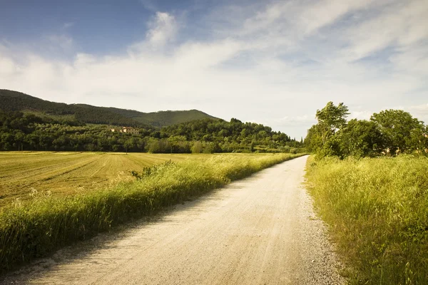 Toskana kırsal kesimde yol — Stok fotoğraf