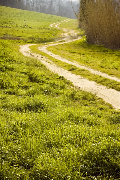 Tuscany winding road — Stock Photo, Image