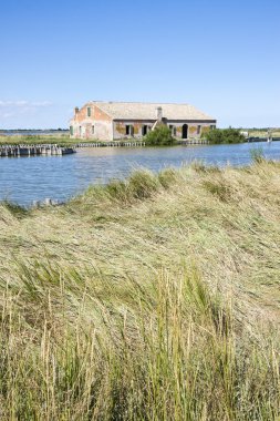 Gezi Comacchio vadilerde (Ferrara - Emilia Romagna - İtalya)