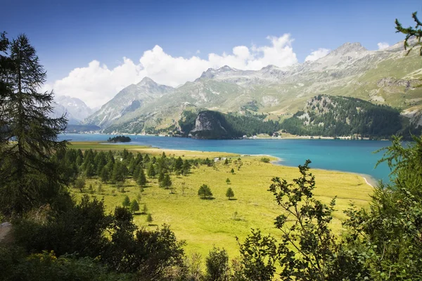 Promenade autour du lac de Sils - Suisse — Photo