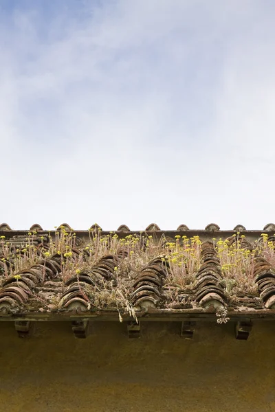 Velho telhado abandonado — Fotografia de Stock