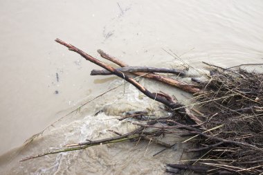 Takilan sular ve karanlık