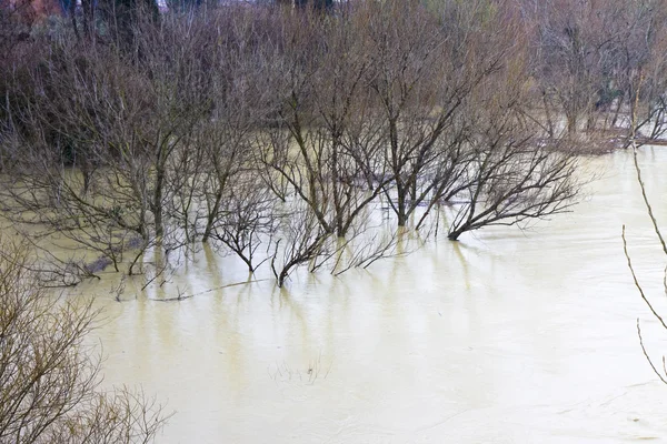 Eaux enragées et troubles — Photo