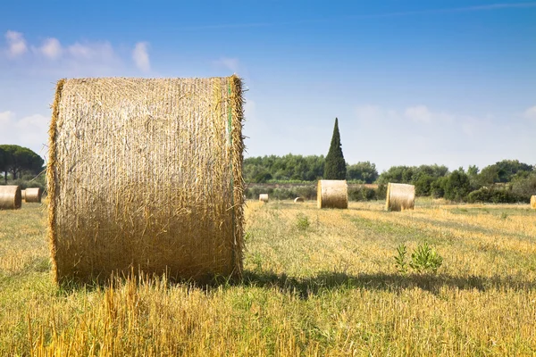 Ön plan üzerinde duruldu saman balya Tuscany kırsal (İtalya)- — Stok fotoğraf