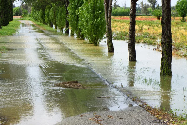 Champs inondés — Photo