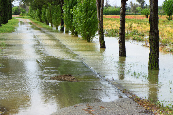Flooded fields