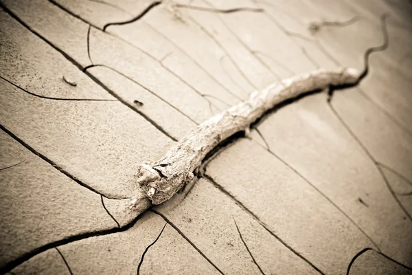 Cracked ground: the effects of drought — Stock Photo, Image