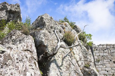 Kuru çalı bir kaya duvarı gelir