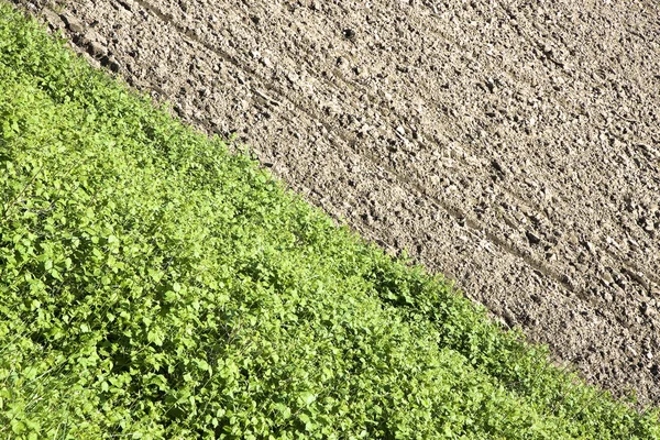 Gepflügtes Feld im Frühjahr mit Kopierfläche — Stockfoto