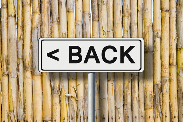 The word "Back" written on a road sign against a fence wattle