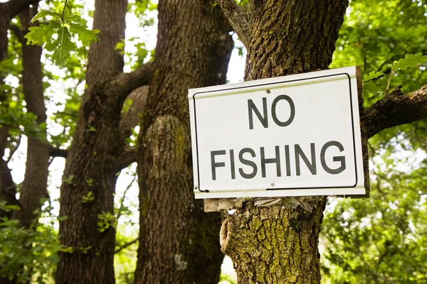 Não há sinal de pesca que indique no campo — Fotografia de Stock