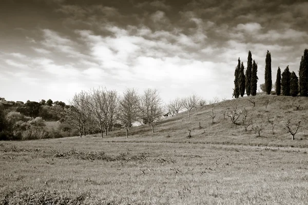 Typická krajina Toskánska v sépie tónovaný (Itálie) — Stock fotografie