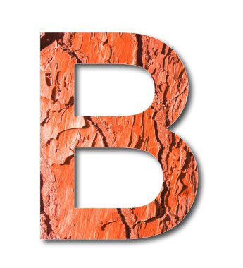 Harfler B kırmızı tonda çam kabuğu ile