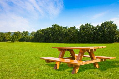 Kamu parkındaki yeşil çayır üzerinde ahşap piknik masası. Arka planda ağaçlar ve açık gökyüzü var..