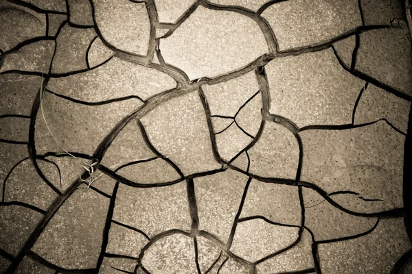 Cracked ground: the effects of drought — Stock Photo, Image