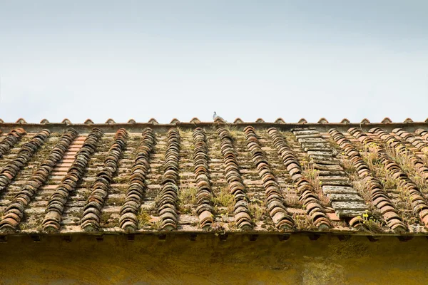 Altes verlassenes Dach (Toskana - Italien) — Stockfoto