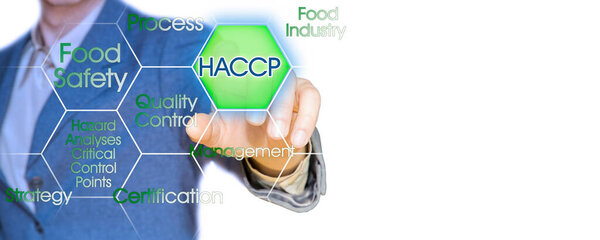 HACCP (Анализ рисков и критические контрольные точки) - Безопасность пищевых продуктов и контроль качества в концепции пищевой промышленности с бизнес-менеджером против цифрового дисплея и копирования пространства для ввода текста