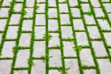 Gri beton zemin bloğu çimenli bir kum tabakasına monte edildi. İnşaat kanunlarının gerektirdiği gibi su yağdırabilecek türden bir döşeme..