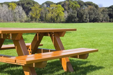 Kamu parkında yeşil bir çayırda piknik masası ve arka planda dağlar