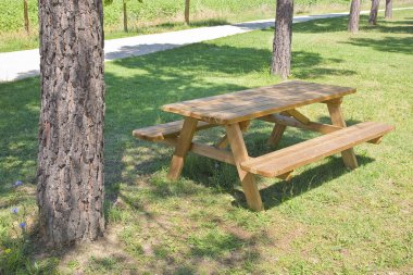 Yeni boş çam ağacından piknik masası halka açık bir parkta, ağaçlar ve gölgeli yeşil bir çayırda