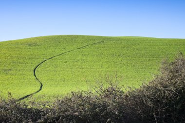 Mavi gökyüzü karşı tipik Toskana hill