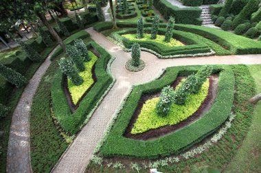 figürlü ağaçları de nong nooch tropikal Botanik Bahçesi Tayland pattaya city yakınındaki bir yüzüğü alan