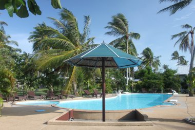 bir tente ile Yüzme Havuzu temiz mavi su ve palmiye ağaçları yakınındaki bir otelde Tayland koh samui Adası