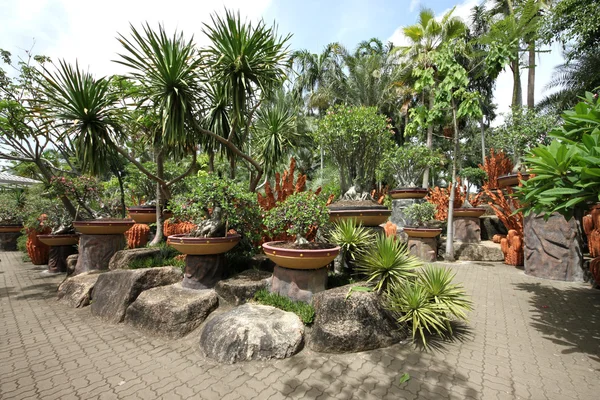 Une composition de pots avec des fleurs tropicales et des pierres et des arbres et de l'herbe dans le jardin botanique tropical Nong Nooch près de la ville de Pattaya en Thaïlande — Photo