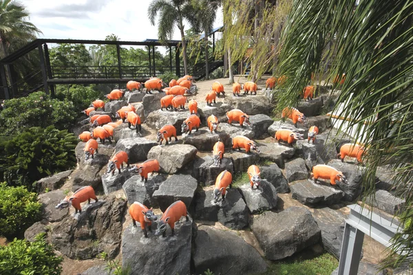 A meadow with red pigs and grass and trees and stones in the Nong Nooch tropical botanic garden near Pattaya city in Thailand — Stock Photo, Image