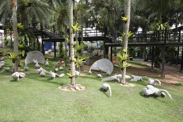 Une prairie avec des cygnes blancs et de l'herbe et des arbres et des pierres dans le jardin botanique tropical Nong Nooch près de la ville de Pattaya en Thaïlande — Photo