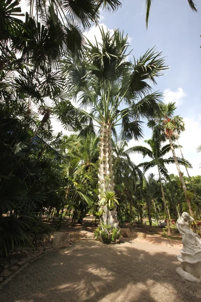 Une prairie avec un palmier coconat et de l'herbe et des arbres et des pierres et statue dans le jardin botanique tropical Nong Nooch près de la ville de Pattaya en Thaïlande — Photo