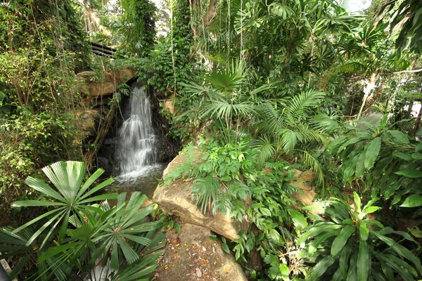 Een overzicht van een tropische weiland met planten en waterval en stenen in de Nong Nooch tropische botanische tuin in de buurt van de stad Pattaya in Thailand Stockafbeelding