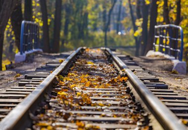 Sonbaharda ormanın içinden geçen demiryolu kapalı. Sonbahar manzarası.