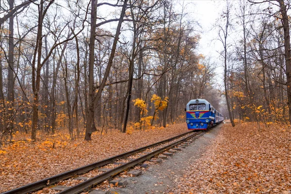 Stary Zabytkowy Niebieski Pociąg Kolejowy Szynach Widok Przodu Kolejowy Pojedynczy — Zdjęcie stockowe