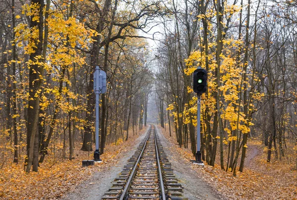 Grünes Signalsignal Auf Eingleisiger Bahnstrecke Durch Den Wald Herbst Herbstlandschaft — Stockfoto