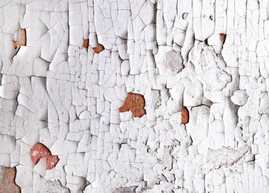 Eski çatlak beyaz boya duvar dokusundan dökülüyor. Çatlak boyanın yakın plan detayları..