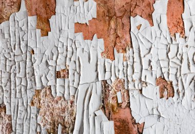 Eski çatlak beyaz boya duvar dokusundan dökülüyor. Çatlak boyanın yakın plan detayları..