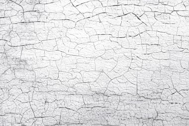 Eski çatlak beyaz boya duvar dokusundan dökülüyor. Çatlak boyanın yakın plan detayları..