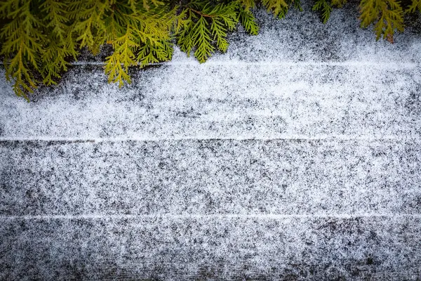 Gammal Träskiva Täckt Med Vit Nysnö Med Gröna Grenar Thuja — Stockfoto