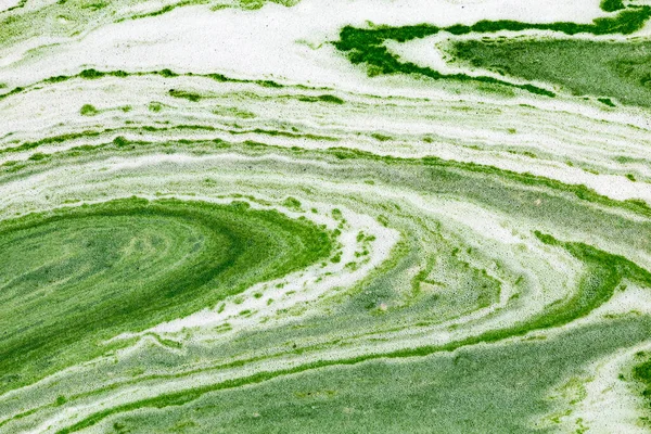 Algal Florecen Agua Del Río Dniéper Ucrania Color Verde Del — Foto de Stock
