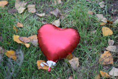 Balon kalp sonbahar ormanında