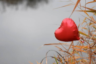 Balon kalp sonbahar ormanında