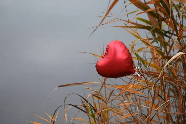 Corazón Globo Bosque Otoño —  Fotos de Stock