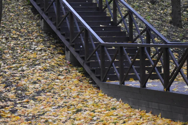 Höst Löv Trä Bakgrund — Stockfoto