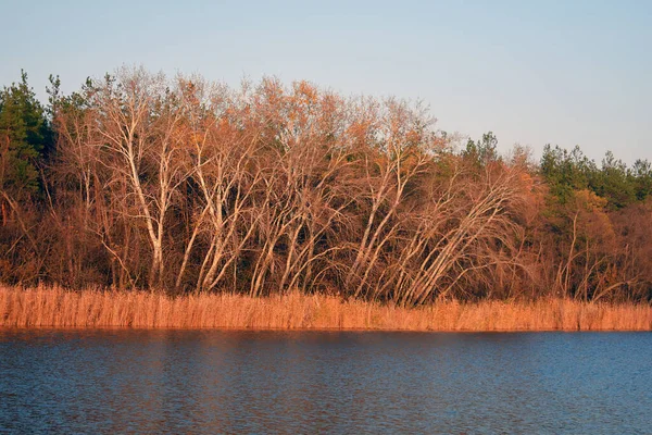 Paysage Automne Avec Lac — Photo